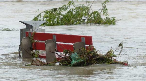 cod galben inundatii