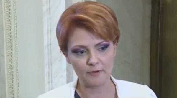 olguta vasilescu ajutor de la stat pentru anumite firme