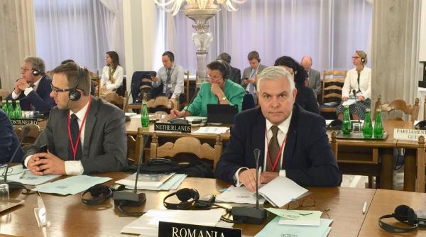 angel tilvar psd la grupul pentru educa ie de la var ovia