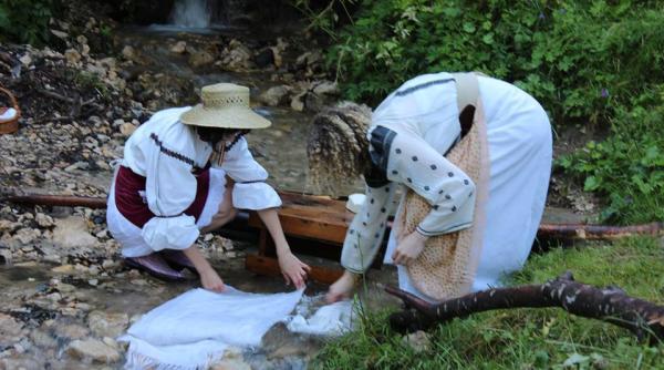 bancul zilei tipuri de barba i