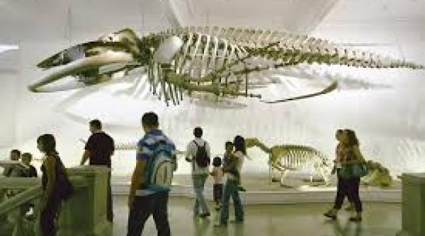 1 iunie prima tv i muzeul antipa surpriza pentru copii