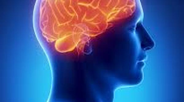 boli neurologice cea mai buna metoda de recuperare neurolog este esen a vie ii