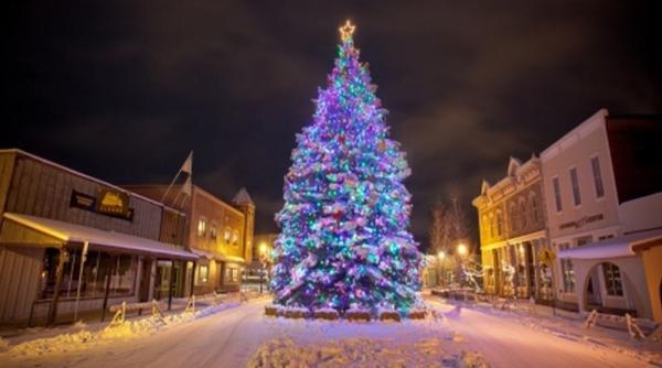 brazi de craciun impodobi i in iunie