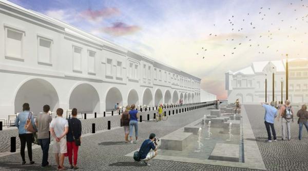 scandal cu mii de oameni primaria vrea sa taie 100 de copaci