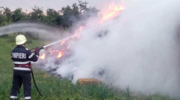 barbat ucis de trasnet unde se afla