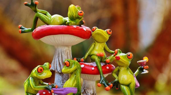 cum recuno ti invidio ii