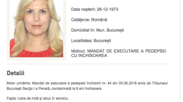 udrea urmarita de poli ia romana