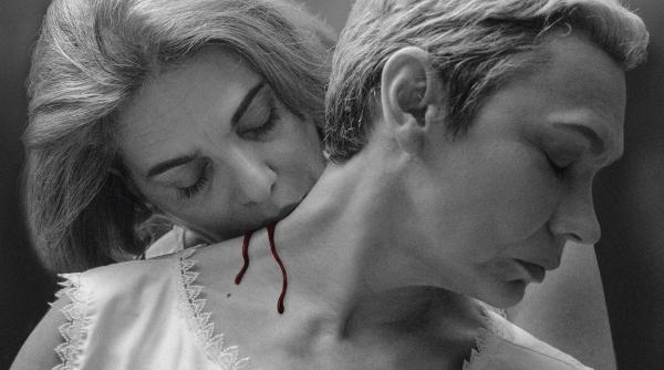 tiff 2018 cluj un ora sub asaltul cinematografului