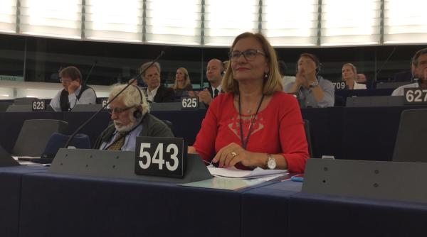 maria grapini interven ie in plenul pe de la strasbourg