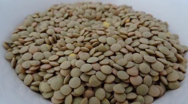 lintea alimentul miraculos impotriva imbatranirii