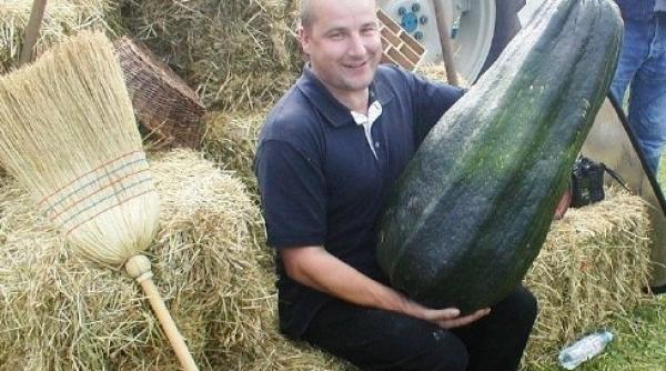 legume pentru vegetarieni castravetele uria i crizantema comestibila