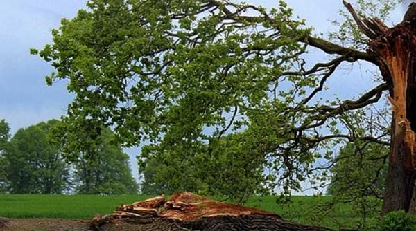pagube in urma furtunii de azi noapte