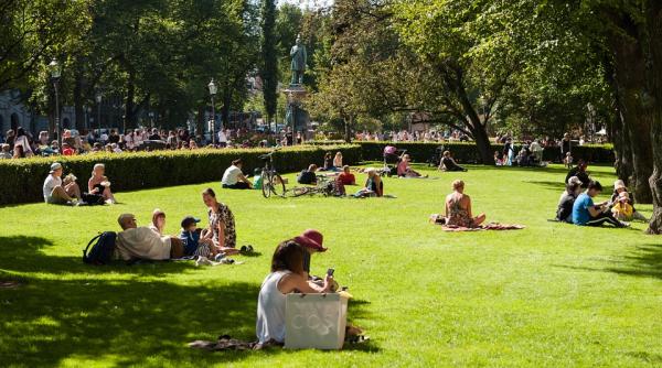 finlanda masura privind venitul unic pentru toti cetatenii