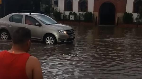 la pescuit pe strada in targoviste video fabulos