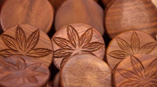 canabis medicinal pas recunoasterea calitatilor sale terapeutice