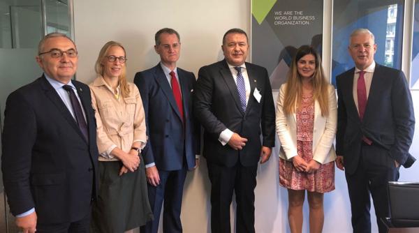 mihai daraban la icc paris regulile comerciale moderne pot crea oportunita i pentru toate arile