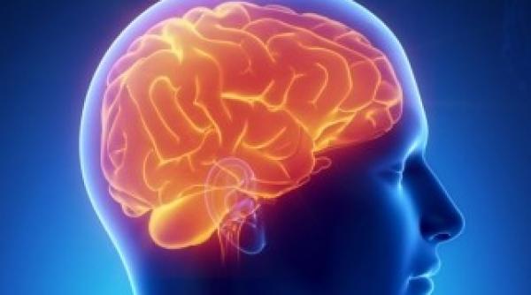 un virus herpetic suspect in boala alzheimer