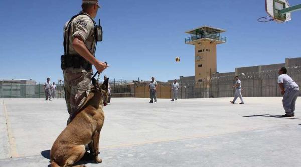 toti politistii dintr un oras arestati in plina campanie electorala