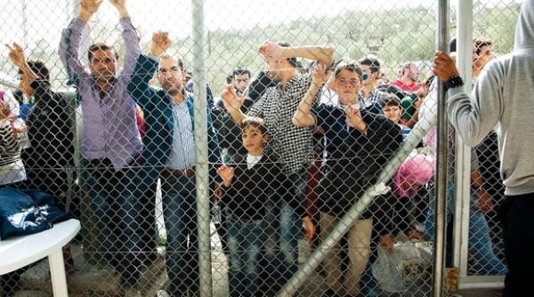 sharon stone mesaj cutremurator despre imigran i