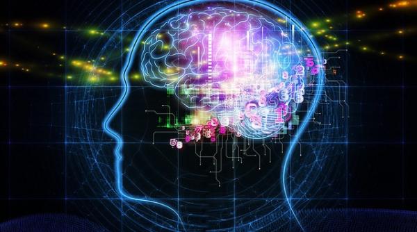 cercetatori tiin ifici ai neurologiei mondiale la eforie nord