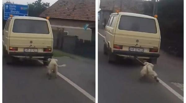 un fost viceprimar a chinuit ingrozitor un caine l a legat de ma ina