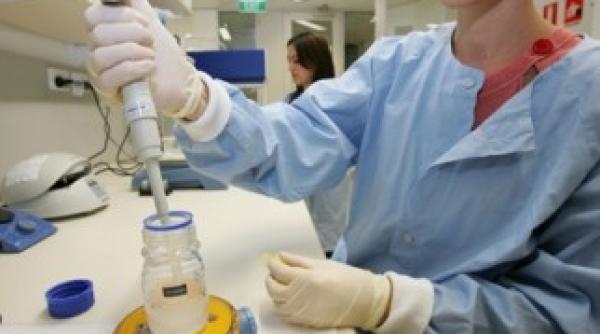 gabriela firea luata cu asalt de cuplurile doritoare de fertilizare in vitro