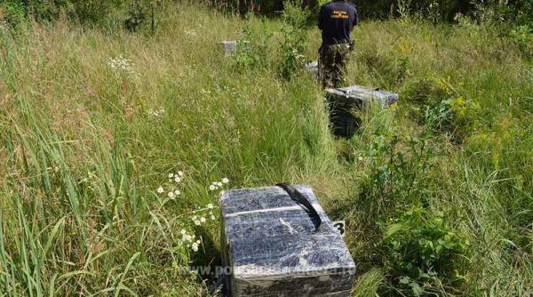 tigari de contrabanda focuri de arma la granita
