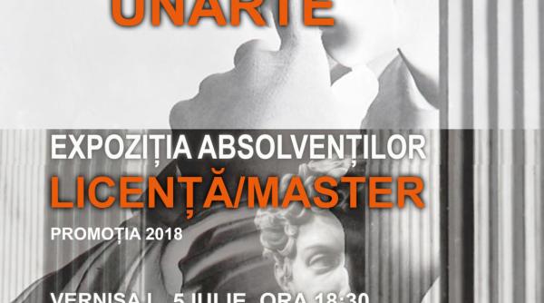 expozitia de sculptura unarte promotia 2018