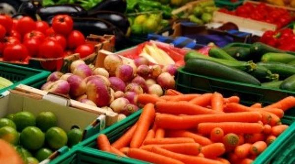 leguma care mananca zaharul din organism