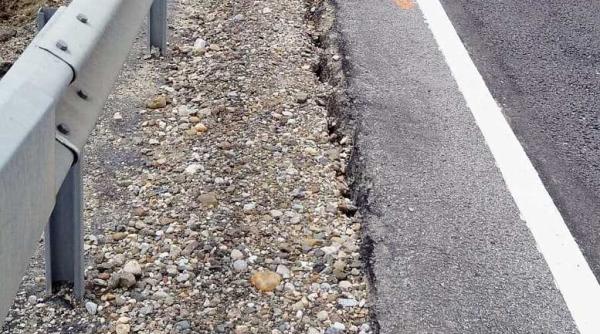 pasul mesteacan bota psd ana lui manole