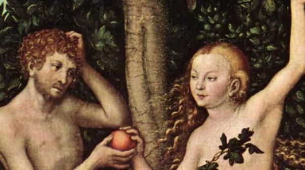 bancul zilei de unde se trag oamenii