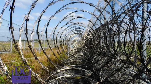 oleg sen ov in stare grava dupa greva foamei