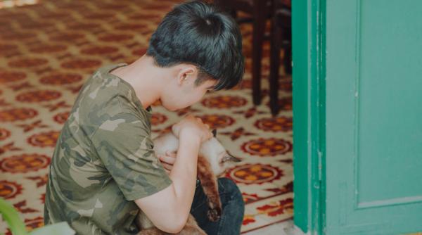 anun ul unui copil care i a pierdut pisoiul viral pe internet este pu in grasu