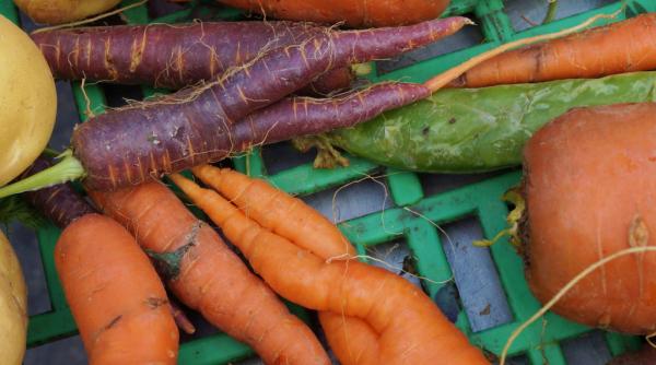 dr mihaela bilic pledoarie pentru legumele deformate i ura ii merita manca i