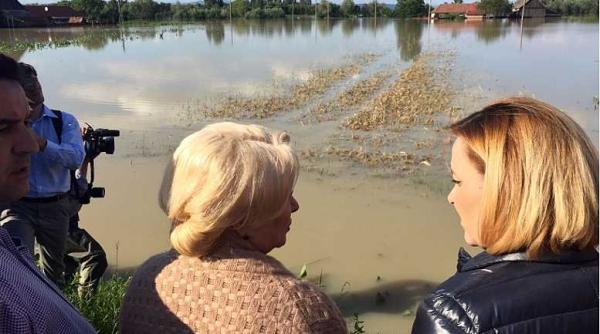 viorica dancila ajutor pentru oamenii afecta i de inunda ii