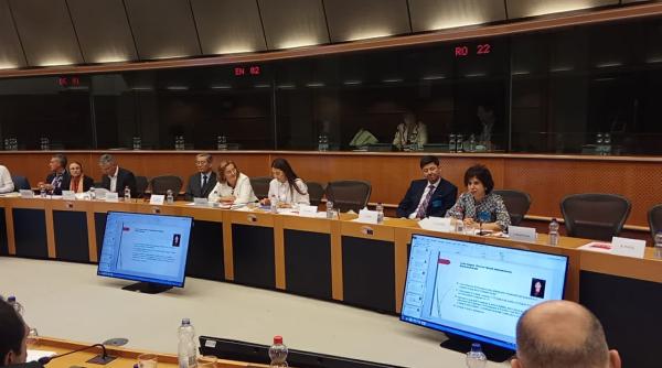 maria grapini un nou atac de la bruxelles macovei i preda ipau ca ar i