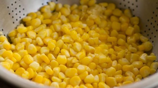 porumb congelat infestat au murit 9 oameni e vandut i in romania update