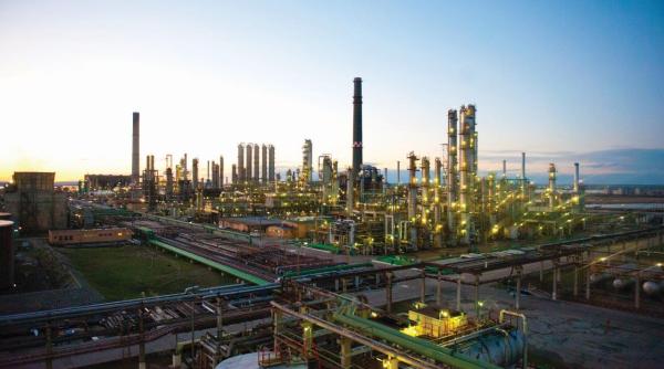 kmg international raport 2017 care sunt rezultatele