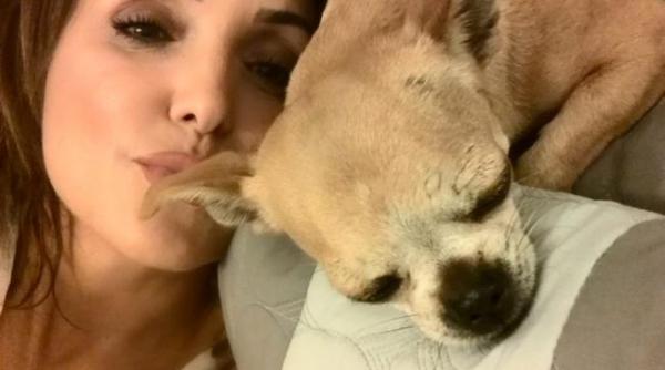 nico ce nu se tia despre artista acum le iubesc