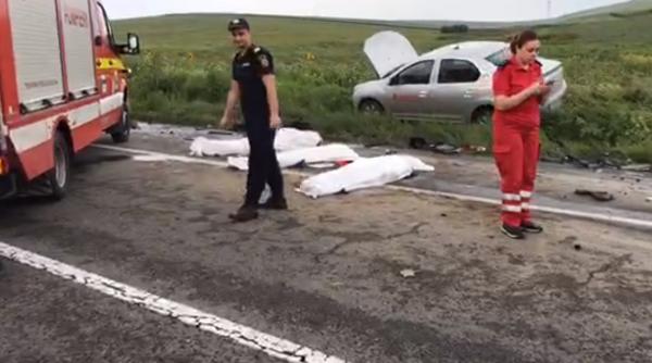 accident le cani trei persoane au murit pe loc