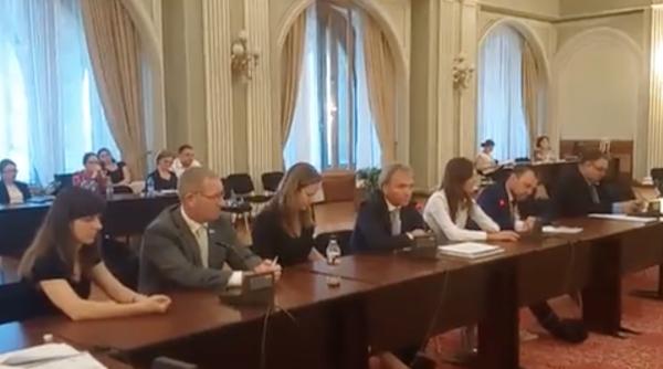 legea offshore psd ambuscada tip robin hood stakeholderii panica i