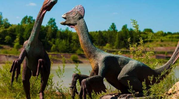 dinozaurii din hunedoara in aten ia unesco