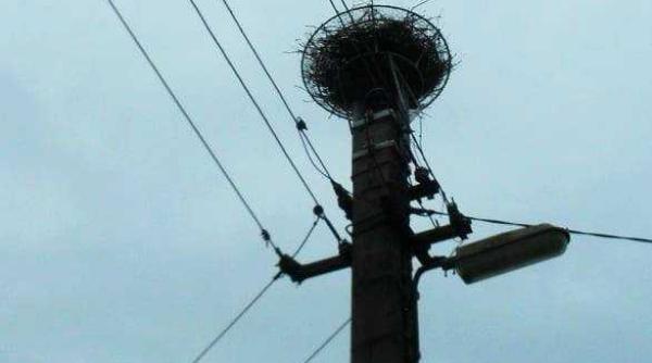 in bucuresti a venit barza