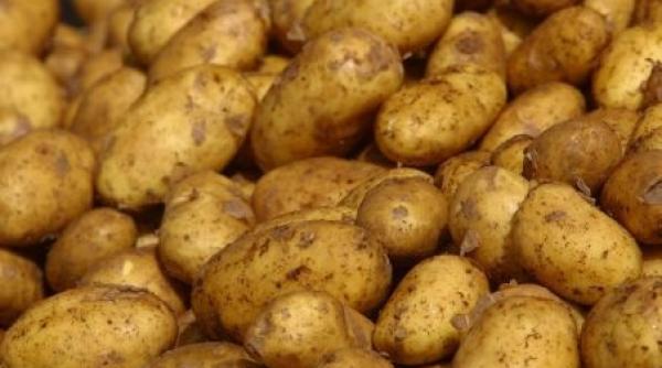 efectele miraculoase ale cartofului fiert