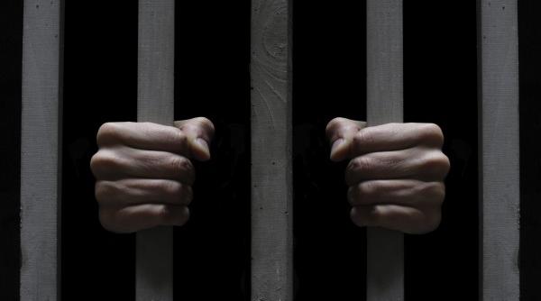 europol face echipa de infractori