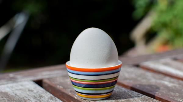 regim militar un ou i un mar pe zi dr mihaela bilic opinie inedita