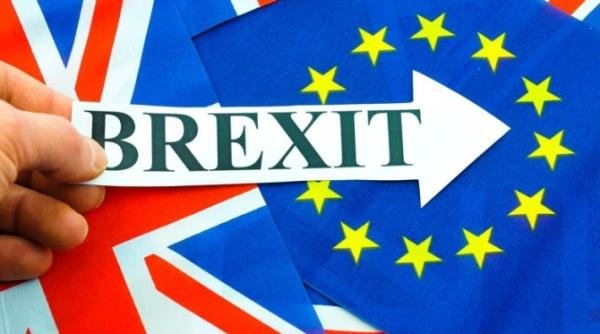 romanii cauza pentru brexit pippidi despre frica englezilor