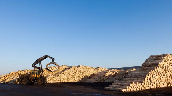 holzindustrie schweighofer sebe incendiu