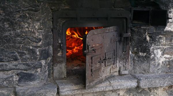 cele mai vechi urme de paine