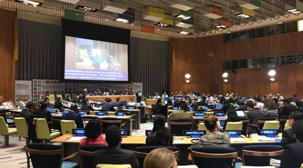 gratiela gavrilescu  ministrul mediului  la onu